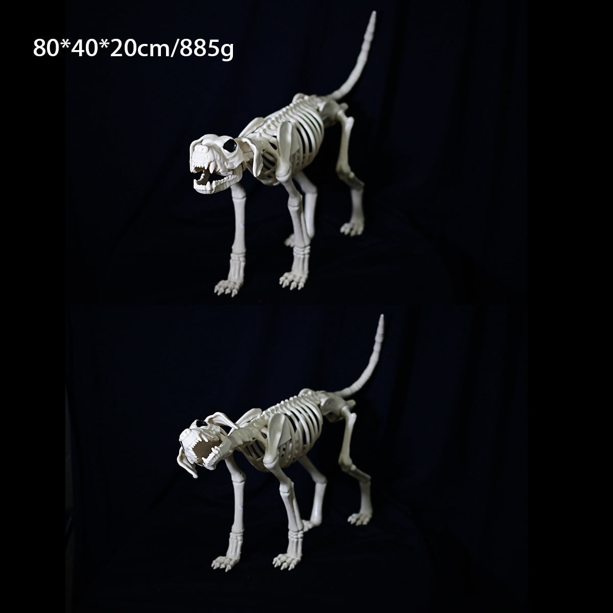 Realistic Animal Skeleton Decor - Plastic Skull Bone Props for Horror ...