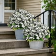thumbnail image 1 of Realistic Artificial Butterfly Flowers Dual Color Fake Flower Bouquets Greenery Floral Arrangement for Home Living Room Wedding Outdoor Garden Decor Accents, White, 1pc, 1 of 1