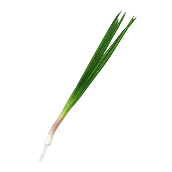 Realistic Artificial Garlic /Scallions Model Food Placement Display Photoshoots Props for Home