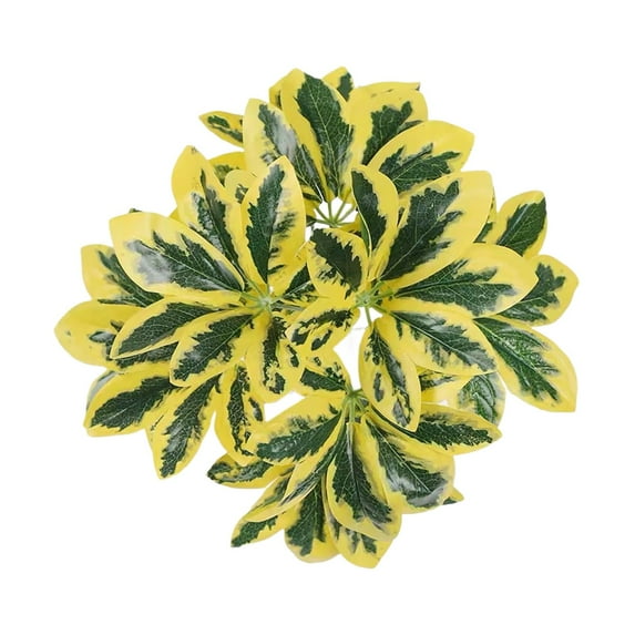 Realistic Artificial Plants for Outdoor Porch Decor, Faux Greenery for Home Office Garden Yard, Lifelike Uv Resistant No Fade Fake Plants