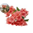thumbnail image 1 of Realistic Artificial Stem – 12.2" Single Fake Flower Branch with Flexible Plastic Stem – Silk-Like Faux Floral Pick for Wedding Centerpieces, Bridal Bouquets, Home Decor & Spring Parties, 1 of 6