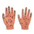 thumbnail image 1 of Infant Massage Training Model With Marked Acupoints Points For Infant Nursing, 1 of 11