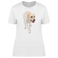 thumbnail image 1 of Realistic Beige Labrador Dog Tee Women's -Image by Shutterstock, 1 of 2