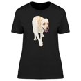thumbnail image 1 of Realistic Beige Labrador Dog Tee Women's -Image by Shutterstock, 1 of 1