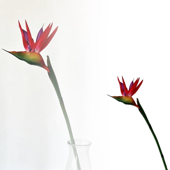 Realistic Bird of Paradise Artificial Flowers, Tropical Flower Stems, Lifelike Silk Floral Arrangement for Home Garden Wedding Party Centerpiece Decor