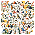 thumbnail image 1 of Realistic Bird Theme Stickers, Waterproof Bird Theme Sticker for Water Bottle Laptop Phone Cases Planner Skateboard Luggage Helmet Party Favor Decor, Ideal for Adults Teens Teacher Rewards, 1 of 9