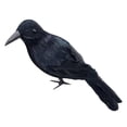 thumbnail image 1 of Realistic Black Crow Decoration for Halloween, Lifelike Feathered Bird Prop for Indoor Outdoor Party Decor, Scary Yard Ornament, 11 Inch, 1 of 5
