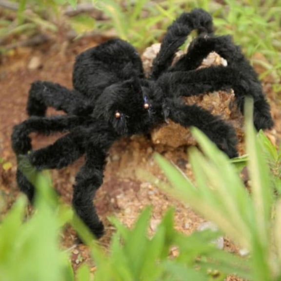 Realistic Black Spider Decoration, 12-inch Large Spooky Spider Prop for Halloween Party Decor and Haunted House Supplies A#336 Black