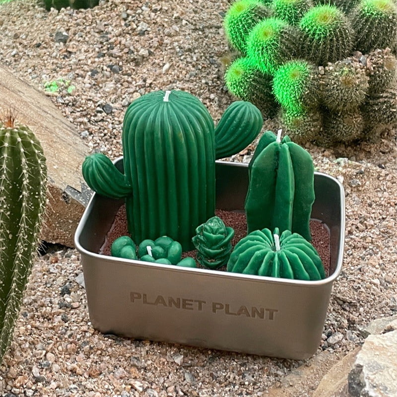 Realistic Cactus Scented Candle Gift with 4 Wick Design in Metal Base – Decorative Green Succulent Candle with Sand-Like Detail in Gift Box – Perfect for Holidays, Birthdays, Anniversaries & More