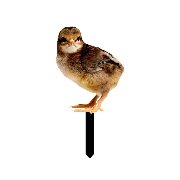 Realistic Chicken Family Acrylic Yard Stakes, Hen & Chick Farm Animal Garden Decor, Double-Sided Weatherproof Lawn Ornaments