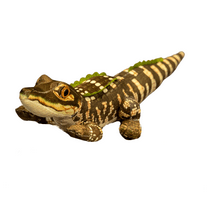 Realistic Crocodile Stuffed Animal Plush Toy-Soft Plushies Huge Throw Pillow Cushion Gift for Kids