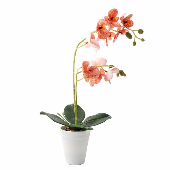 Realistic Double-Stem Orchid Arrangement: Perfect for Home, Weddings & Events!