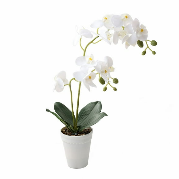 Realistic Double-Stem Orchid Arrangement: Perfect for Home, Weddings & Events!