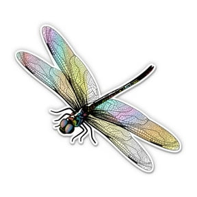 Realistic Dragonfly Pretty - 3" Vinyl Sticker - For Car Laptop Water Bottle Phone - Waterproof Decal