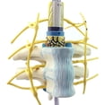 thumbnail image 1 of Realistic Expanded Spine Structure Model For Clinical Study Footpaths Visualization, 1 of 11