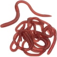 thumbnail image 1 of Realistic Fake Earthworms, Soft Stretchy Rubber Wriggling Worms for Prank Toys, Gag Gifts, Halloween Props & Party Favors (10 Pack), 1 of 5