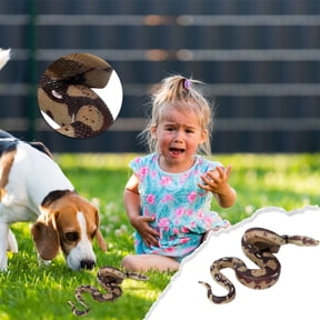 Realistic Fake Snake Toy Rubber Gag Toys- Python Snake Action Figure for Halloween Prank Props, Fake Snake Scare Birds and Squirrels, Boa Constrictor Figurine Scary Prank Toys for Kids