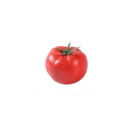 Realistic Foam Simulation Tomato Fake Fruit Model, Lifelike Artificial Vegetable Prop for Kids Early Education Teaching Home Kitchen Display Decor Red