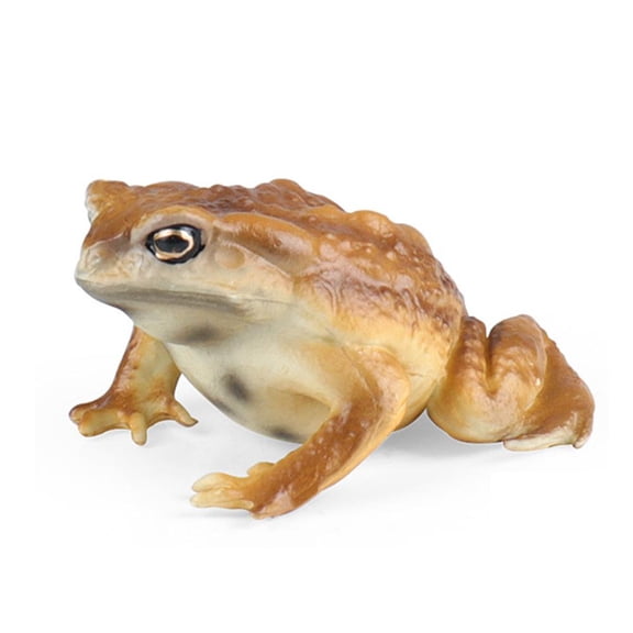 Realistic Frog And Toad Animal Figurines Set 6cm Brown Educational Reptile Toys For Kids Safe BPA Free Plastic Cake Toppers Party Favors Science Projects Birthday Gift