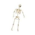 thumbnail image 1 of Realistic Full-Body Bone Prop, Adjustable Limbs for Eerie Graveyard Displays Portable Halloween Decoration, 1 of 9