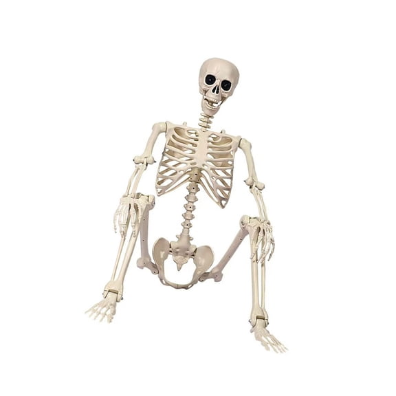 Realistic Full Body Human Bone Halloweens Props Flexible Joints Portable Plastic Indoor Outdoors Decoration