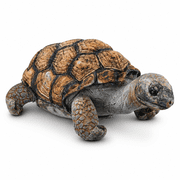 PuffPurrs Galapagos Giant Tortoise Plush Toy, Realistic Tortoise Soft Toy, 40 cm / 15.75 in, Wildlife Gift for Animal Lovers