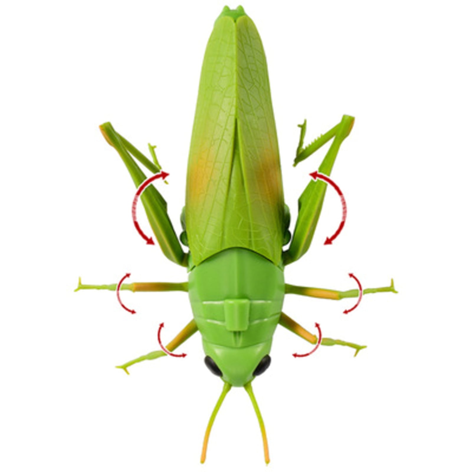 Realistic Electronic Insect Toy Remote Control Battery Powered Toy for