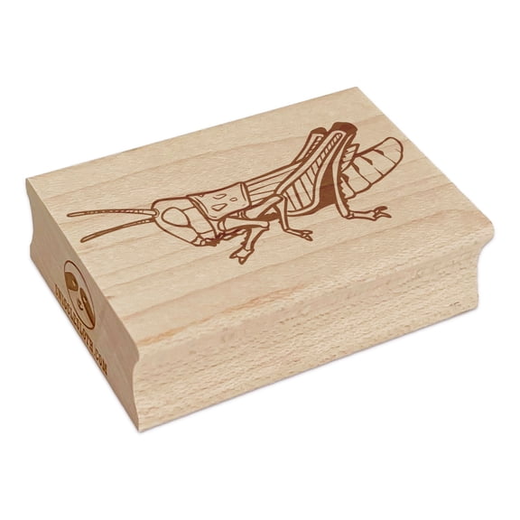 Realistic Grasshopper Locust Bug Insect Rectangle Rubber Stamp Stamping Scrapbooking Crafting - Small 1.7in
