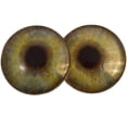 thumbnail image 1 of Realistic Green Human Glass Eyes, 1 of 11