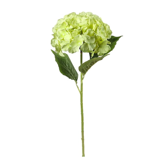 Realistic Green Hydrangea 24 Inch Hydrangea With Long And Leaves Extremely Lifelike And Resembling Real Hydrangeas. Suitable For Home Deco,wedding Bouquets And Mom Day. Flower Wall Day of The Flowers