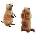 thumbnail image 1 of Realistic Groundhog Figurine Groundhog Model Plastic Groundhog Wild Animal Figurine for Collection Desktop Decoration, Pack of 2, 1 of 4