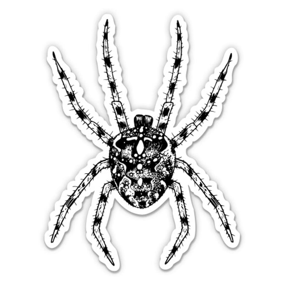 Realistic Hairy Spider - 12" Vinyl Sticker Waterproof Decal