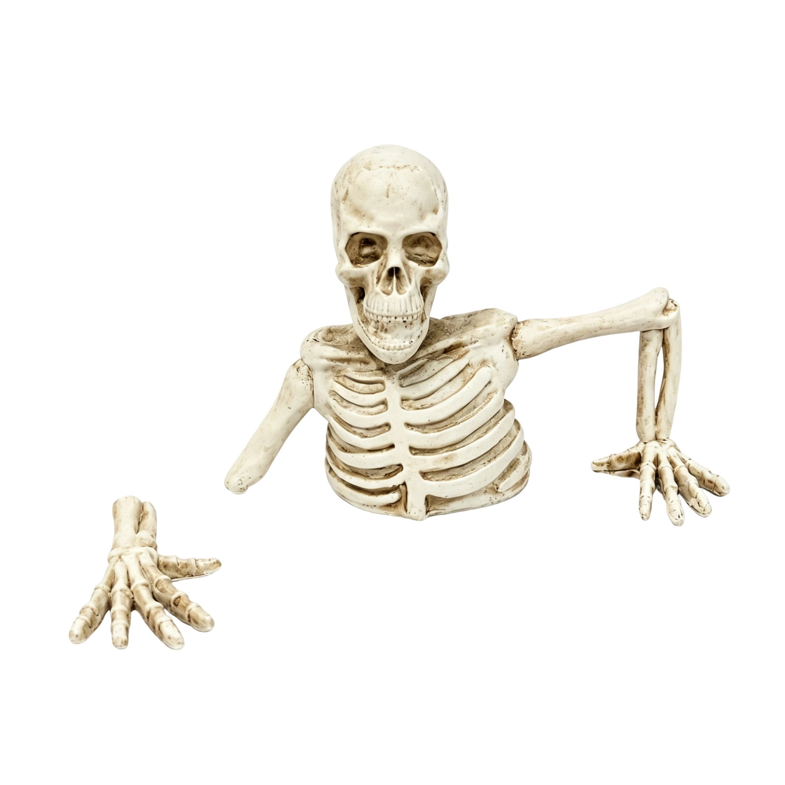 Sckeleton Prop Realistic Half Buried Skeleton Prop, Spooky Skeleton Figurine for ...