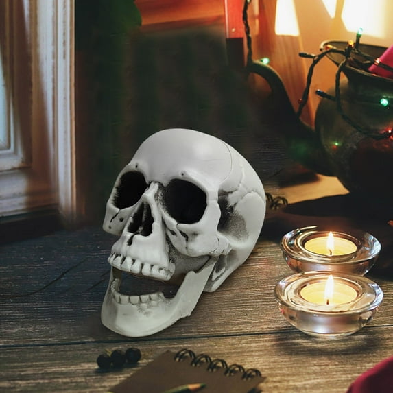 Realistic Halloween Skull Decor - Plastic Skeleton Prop for Spooky Decorations | Mini Fake Bone Model for Indoor/Outdoor Haunted House Party Displays(Multicolor)