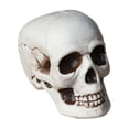 thumbnail image 1 of Realistic Halloween Skull Decoration Spooky Haunted House Prop with Bloody Details for Parties & Events, 1 of 6