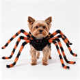 thumbnail image 1 of Realistic Halloween Spider Dog Costume Adjustable Self-Adhesive Straps, Funny Dog Halloween Costumes, Halloween Pet Parades Photo Sessions, 1 of 6