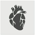 thumbnail image 1 of Realistic Heart Four Chambers Anatomy Biology Love Science DIY Cookie Wall Craft Stencil - 7.0 Inch, 1 of 5