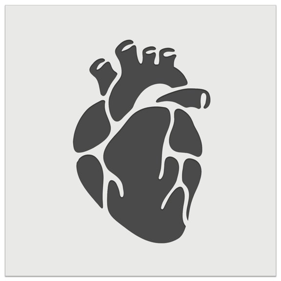 Realistic Heart Four Chambers Anatomy Biology Love Science DIY Cookie Wall Craft Stencil - 9.0 Inch