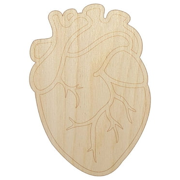 Realistic Human Heart Wood Shape Unfinished Piece Cutout Craft DIY Projects - 4.70 Inch Size - 1/8 Inch Thick