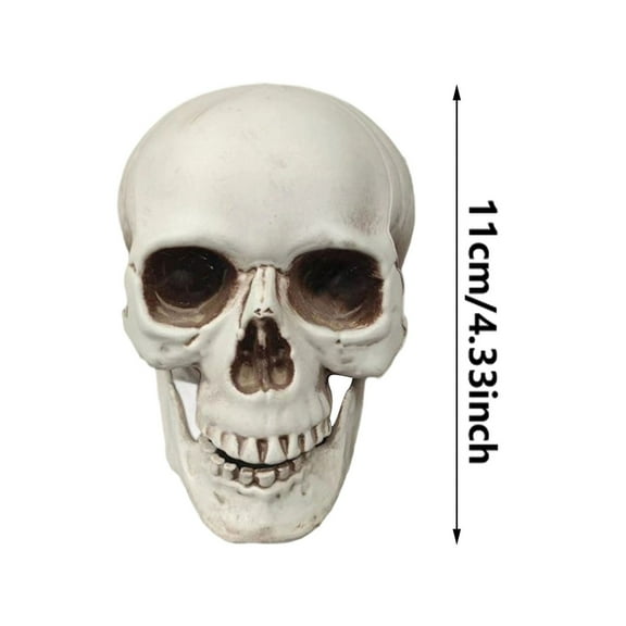 Realistic Human Skull Decor - Lifelike Skeleton Head for Halloween, Haunted House Displays & Gothic Home Decor, for Bars & Tabletop Displays
