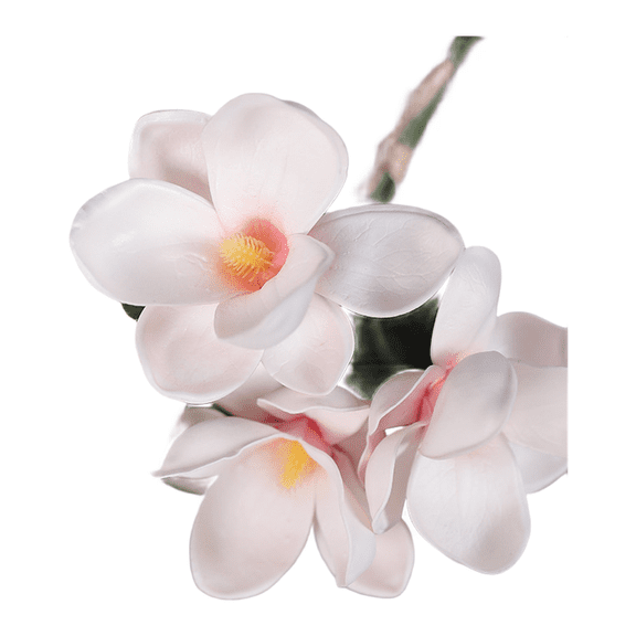 Realistic Magnolia Artificial Flowers Bouquet for Home and Wedding Decor