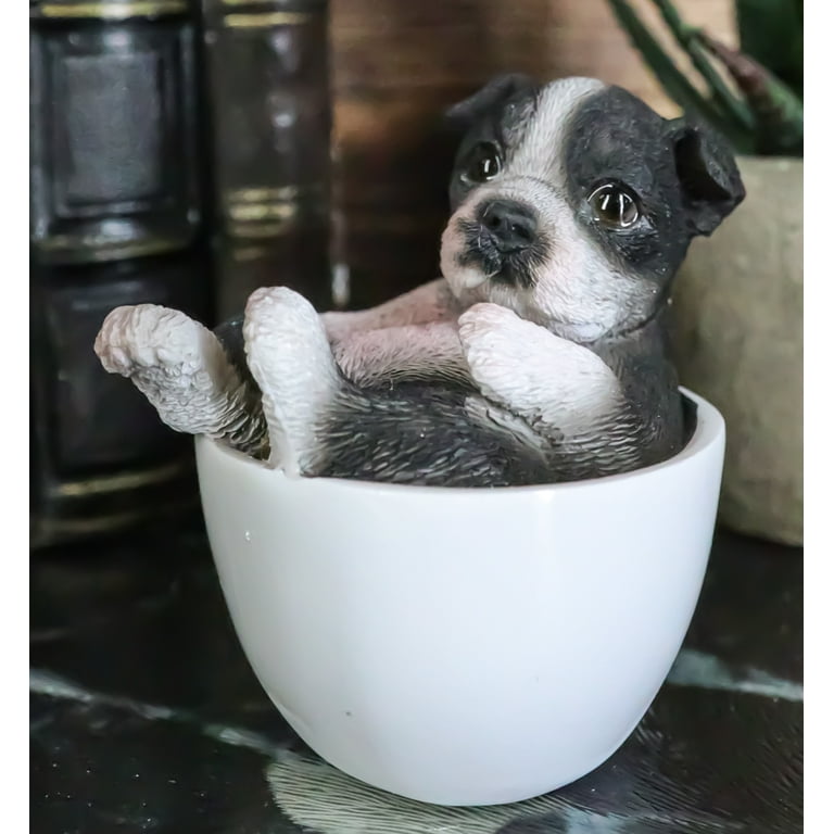 Realistic Mini Boston Terrier Teacup Statue 2.5
