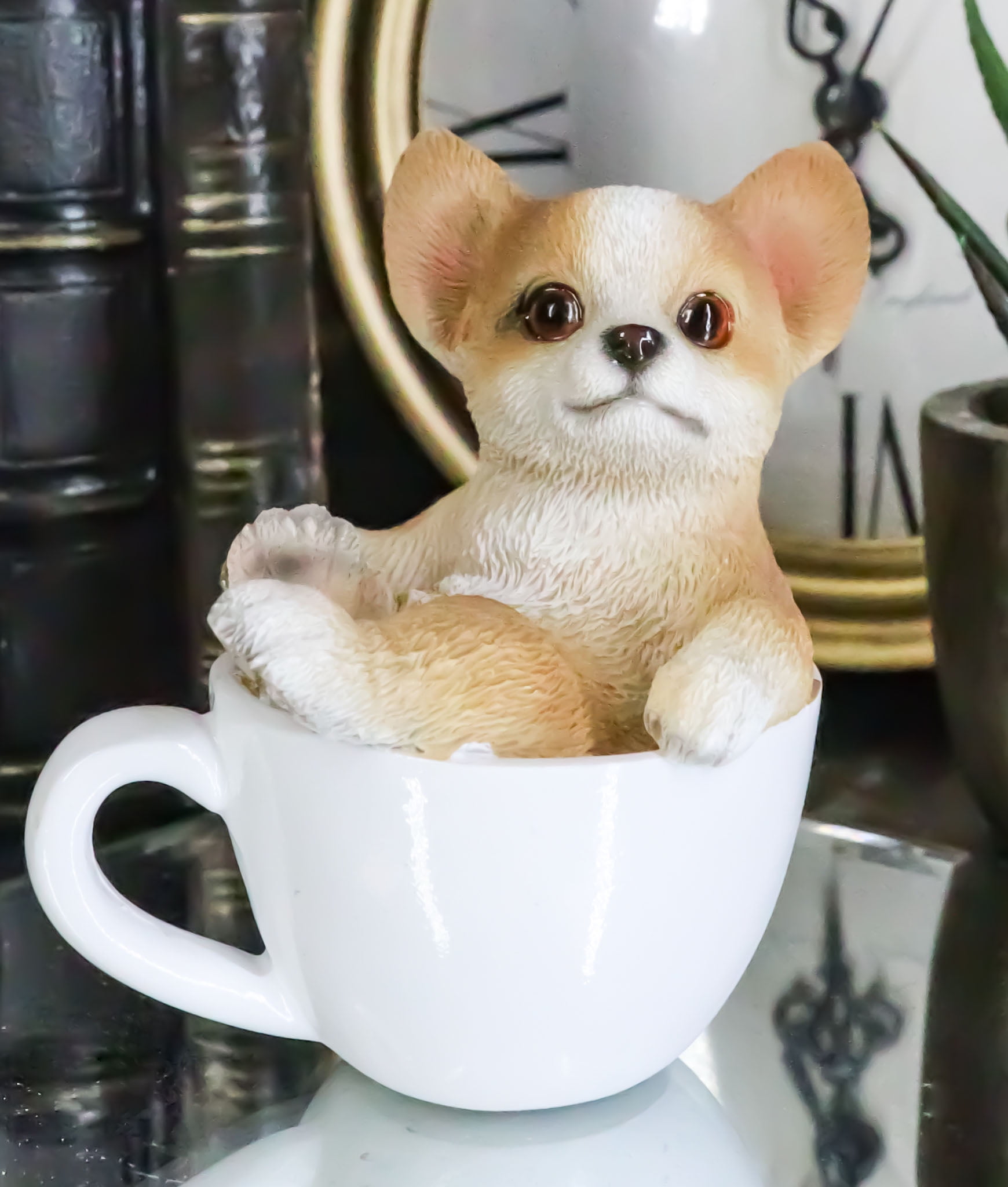 Toy chihuahua clearance price