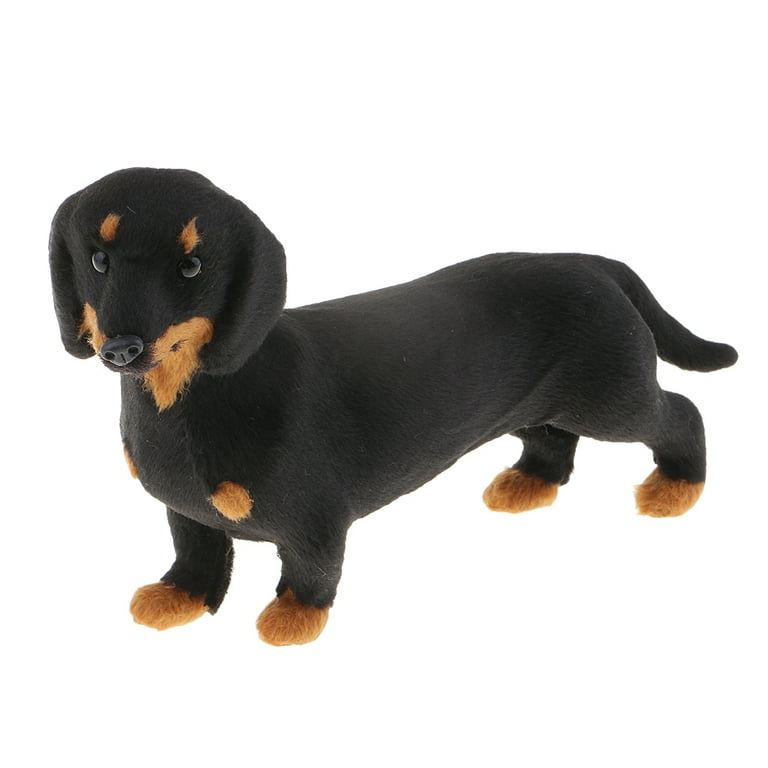 Toy miniature clearance dachshund