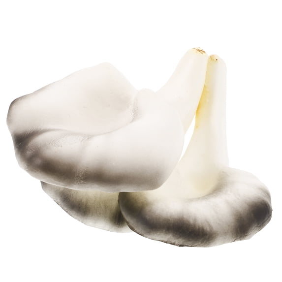 RENACLIPY Colorful EVA Mushroom Figurine for Home and Garden Decoration, Cute Indoor and Outdoor Decorative