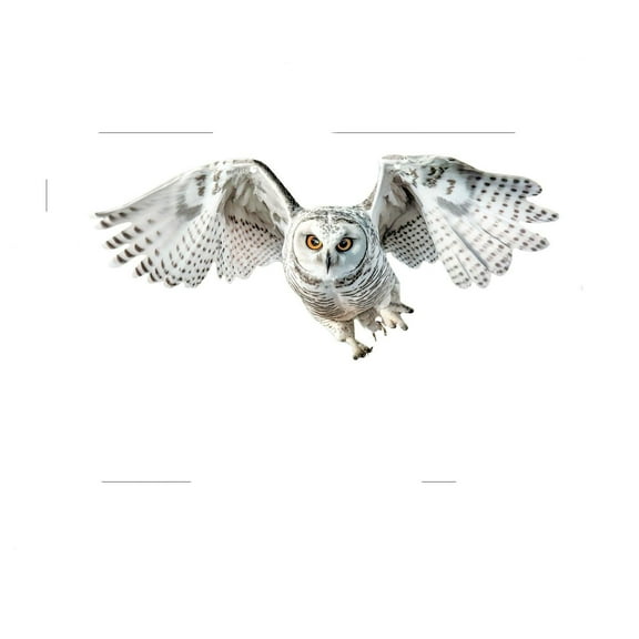 Realistic Owl Bird Repellent, Rvkxad Durable Acrylic Garden Bird Deterrent, Lifelike Simulated Animal Decoy for Courtyard Patio Yard Protection