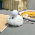 thumbnail image 1 of Realistic Pet Rat Squishy Fidget Toys for Adults Simulation Stuffed Animal Soft Tactile Office Desk Accessory Premium Decorative Sensory Gadget 1 Pack, 1 of 3
