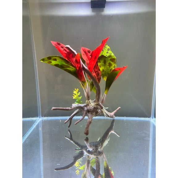 Realistic Plastic Aquatic Plants- Weighted Base, Life-Like Movement- Perfect for Aquarium or Pond