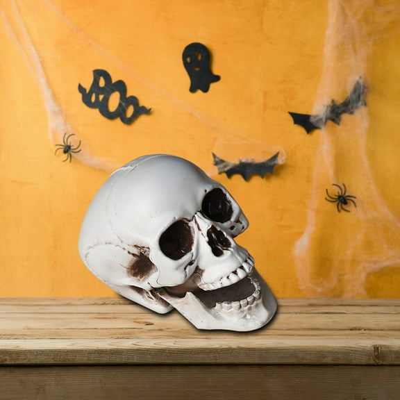 Realistic Plastic Human Skull Prop Model For Halloween Party Decor Spooky Skeleton Decoration 1 Count