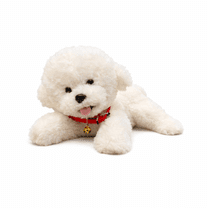 Large Size Angry Rabbit Plush Toy Cute Animal Plushie Doll Kawaii ...